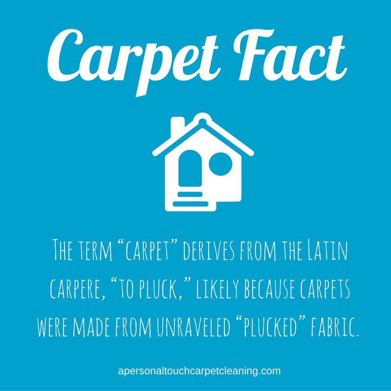 A Personal Touch Carpet Cleaning Carpet Fact graphic for social media
