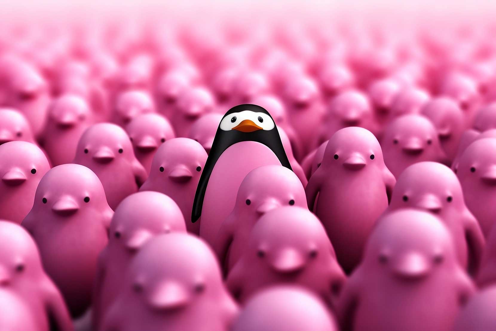 Stand out from the Crowd!